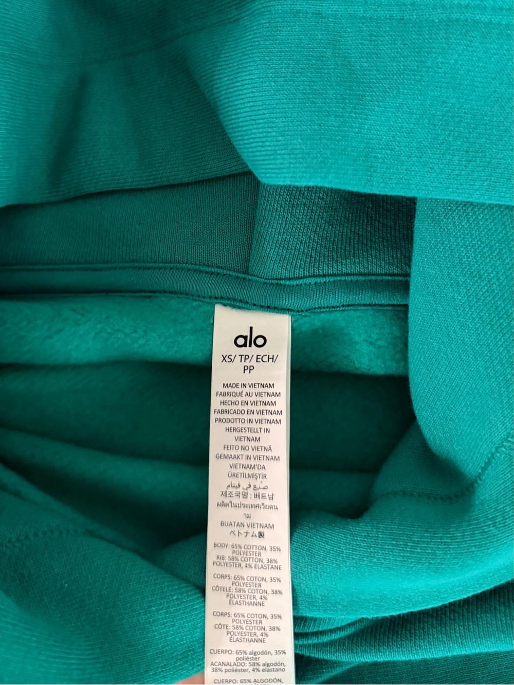 ALO Yoga Bae Hoodie in Spruce Green - Picture 5 of 5